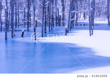 (北海道の風景)氷結した青い池 (北海道の風景)氷結した青い池 91901609