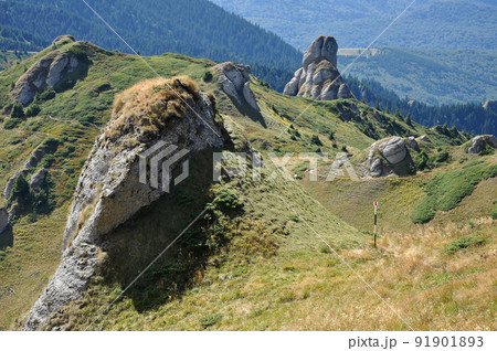 Beautiful mountain vista, sedimentary rocks in the Carpathians Beautiful mountain vista, sedimentary rocks in the Carpathians 91901893