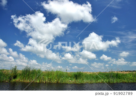 Water channel in Danube delta, Romania 91902789