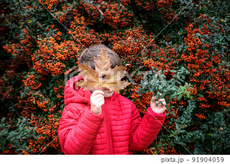 The boy looking through the hole heart-shaped in the maple leaf. The boy looking through the hole heart-shaped in the maple leaf. 91904059