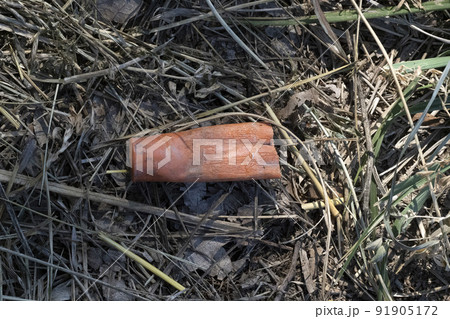 hunting gun plastic cartridge in the forest detail 91905172