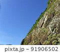 空 エーテル 大空 91906502
