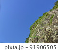 空 エーテル 大空 91906505