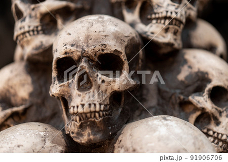 Skull Halloween Background Skull Halloween Background 91906706