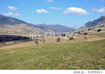 Green pasture with blue sky Green pasture with blue sky 91906824