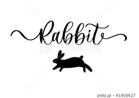 2023 Rabbit Simbol for Chnese new year. Chinese translation is mean Year of Rabbit Happy chinese new year. 2023 Rabbit Simbol for Chnese new year. Chinese translation is mean Year of Rabbit Happy chinese new year. 91908627