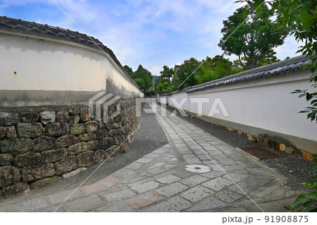 侍に出逢いそうな京都市妙心寺境内を歩く 侍に出逢いそうな京都市妙心寺境内を歩く 91908875