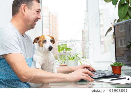 Caucasian man sits at a computer by the window with houseplants, smiles, a dog Jack Russell Terrier sits on his lap, put his paw on owner's hand. Home office, distance learning, remote work, teamwork 91908891