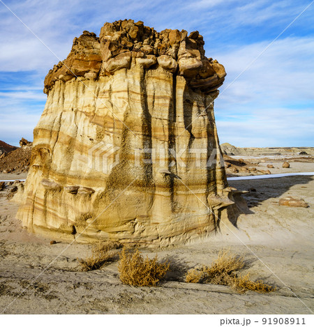 Mushroom Rock in Bisti Badlands 91908911