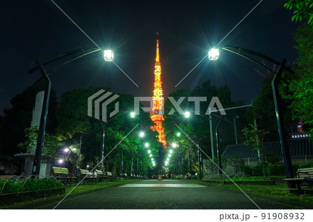 東京都港区 芝公園4号地と東京タワーの夜景 東京都港区 芝公園4号地と東京タワーの夜景 91908932