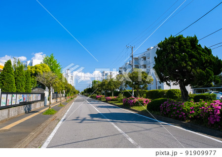 千葉市美浜区高浜 稲毛海岸の住宅地 千葉市美浜区高浜 稲毛海岸の住宅地 91909977