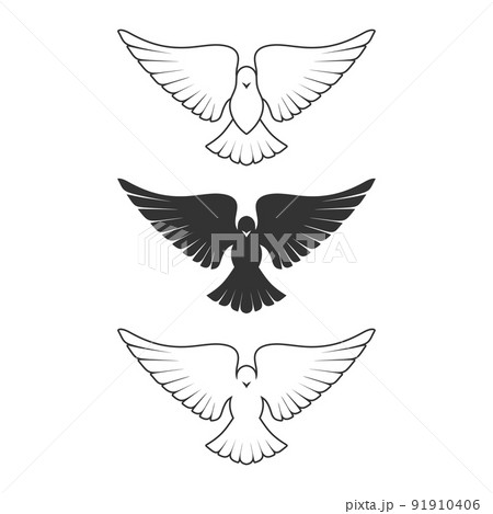 Dove, a symbol of peace and purity. The biblical symbol of the Holy Spirit. Dove, a symbol of peace and purity. The biblical symbol of the Holy Spirit. 91910406