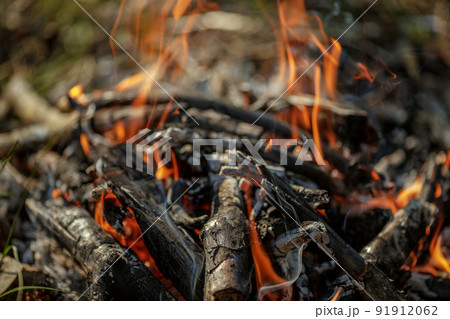 Close up of burning timber bonfire in summer forest..The concept of adventure, travel, tourism, camping, survival and evacuation. Close up of burning timber bonfire in summer forest..The concept of adventure, travel, tourism, camping, survival and evacuation. 91912062