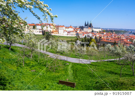 Prague Castle on sunny spring day 91915007