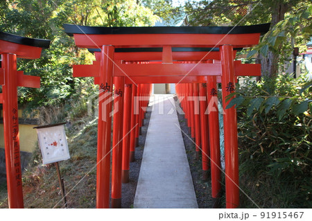 副参道鳥居_住吉神社_小樽 副参道鳥居_住吉神社_小樽 91915467