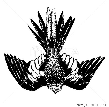 tiel18 91915931