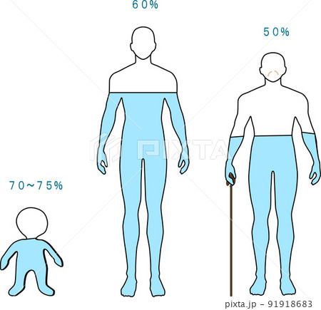 子供と成人と高齢者の体内水分量 91918683