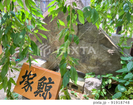 東京品川・利田神社の鯨塚・鯨碑 91918748