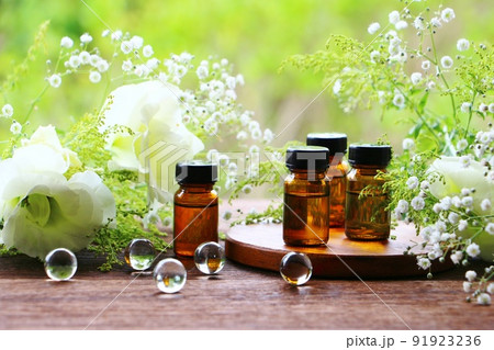 グリーンとアロマ 91923236