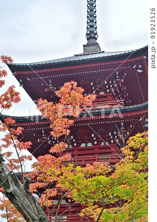 五重塔 最勝院 真言宗智山派 五重塔 最勝院 真言宗智山派 91923526
