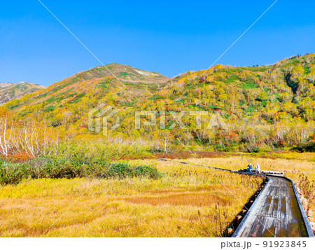 栂池自然園(秋) 栂池自然園(秋) 91923845