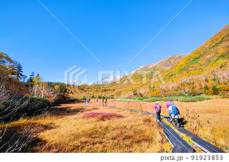 栂池自然園(秋) 栂池自然園(秋) 91923853