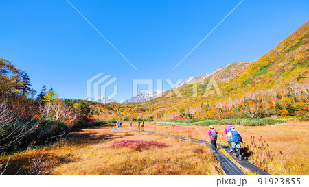栂池自然園(秋) 栂池自然園(秋) 91923855