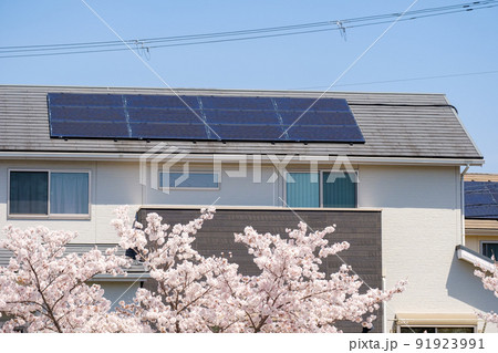 桜の花とソーラーパネルのある家　太陽光　発電　エコシステム 91923991