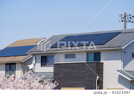 桜の花とソーラーパネルのある家　太陽光　発電　エコシステム 91923997