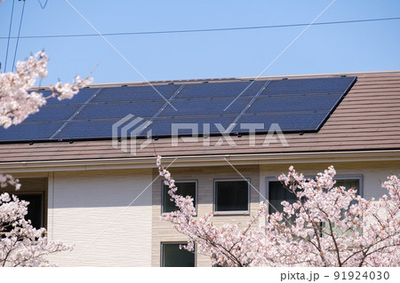 桜の花とソーラーパネルのある家 太陽光 発電 エコシステム 桜の花とソーラーパネルのある家 太陽光 発電 エコシステム 91924030