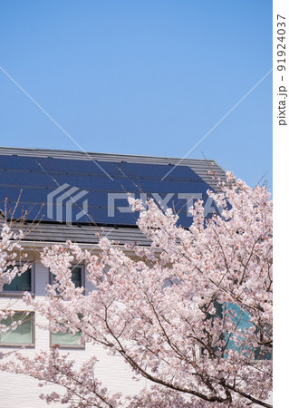 桜の花とソーラーパネルのある家 太陽光 発電 エコシステム 桜の花とソーラーパネルのある家 太陽光 発電 エコシステム 91924037