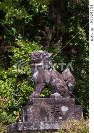 善峯寺境内にある稲荷社の狛犬 京都 日本 善峯寺境内にある稲荷社の狛犬 京都 日本 91924253