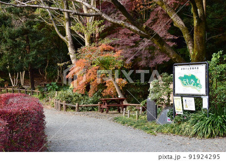 神奈川県相模原市　道保川公園散策路と公園案内板と紅葉 91924295