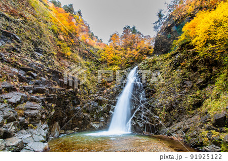 青森県 紅葉の白神山地　～暗門の滝 (第一の滝)～ 91925122