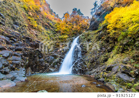 青森県 紅葉の白神山地　～暗門の滝 (第一の滝)～ 91925127