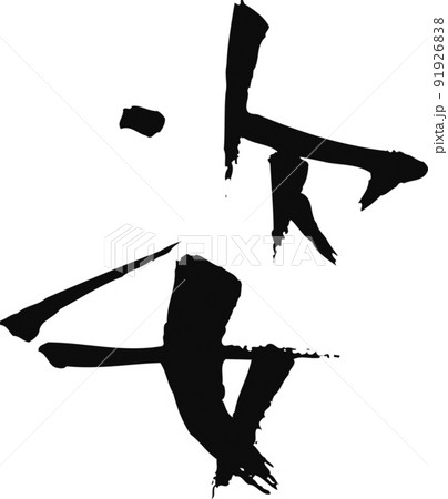 手書きした筆文字【姿】 91926838