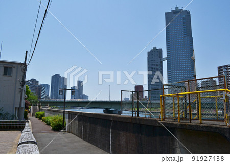 聖路加タワーと佃大橋と隅田川の堤防　中央区佃にて 91927438