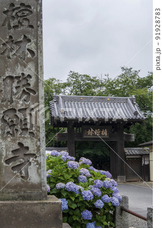 勝願寺の惣門を背景にした栴檀林勝願寺の標柱/埼玉県鴻巣市 勝願寺の惣門を背景にした栴檀林勝願寺の標柱/埼玉県鴻巣市 91928783