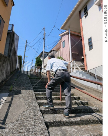 高齢男性のひざの痛み 91929659