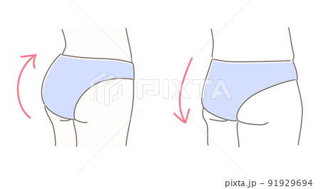 引き締まったお尻と垂れたお尻のイラストセット 91929694