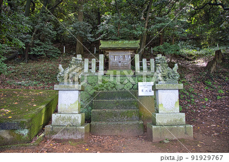 越前海岸 91929767