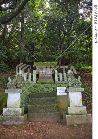 越前海岸 越前海岸 91929768