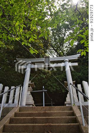 越前海岸 91929773