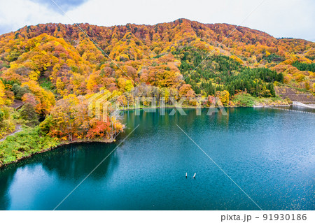 青森県 紅葉の白神山地 ~美山湖~ 青森県 紅葉の白神山地 ~美山湖~ 91930186