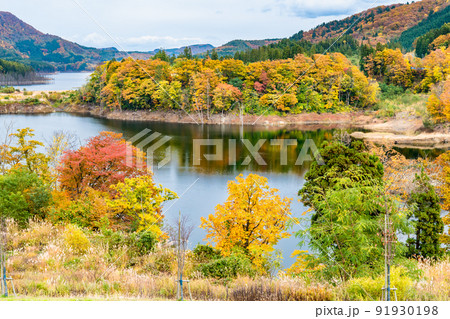 青森県 紅葉の白神山地 ~美山湖~ 青森県 紅葉の白神山地 ~美山湖~ 91930198
