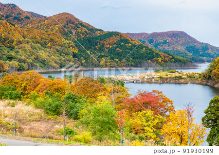 青森県 紅葉の白神山地　～美山湖～ 91930199