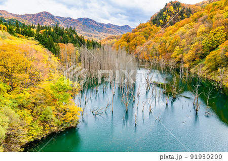 白神山地紅葉の写真 白神山地 駒ヶ岳の紅葉(秋田県) ｜紅葉名所2024