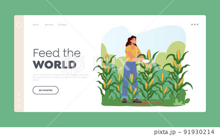 Farm Production Landing Page Template. Woman Farmer Harvesting Corn on Field. Gardener Female Character Working Farm Production Landing Page Template. Woman Farmer Harvesting Corn on Field. Gardener Female Character Working 91930214