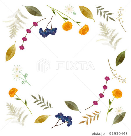 秋の草花　水彩　背景イラスト 91930443