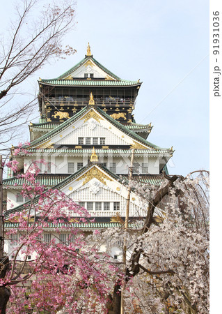 大阪城公園桜 桜 大阪城桜 大阪城春 大阪城公園桜 桜 大阪城桜 大阪城春 91931036